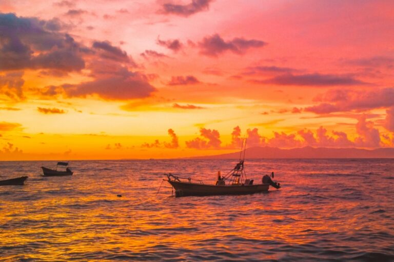 MND Local Puerto Vallarta: From Robbie Williams to trash fishing