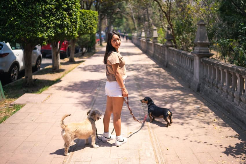 A woman walks two dogs in Mexico City.