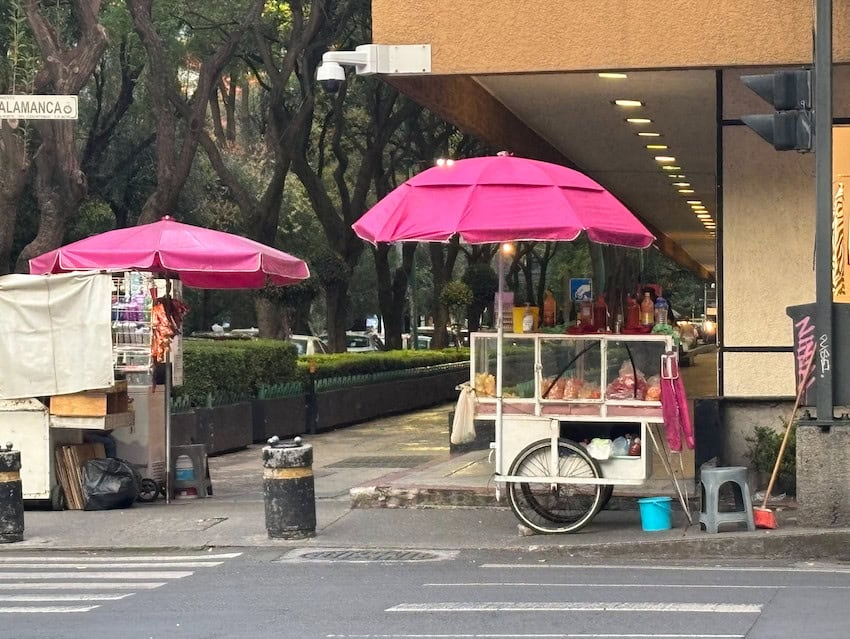 Mexico City food cart on the street corner with a pink umbrella. In the backgroudn there are green trees and hedges.